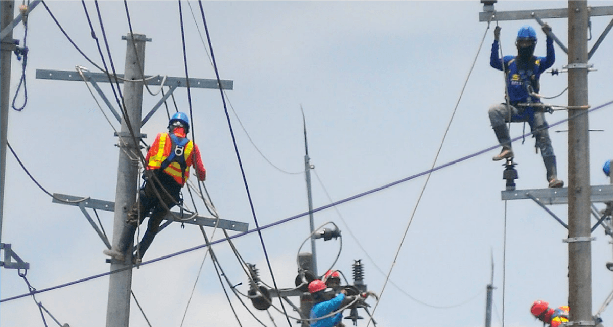 Petugas PLN memelihara jaringan transmisi